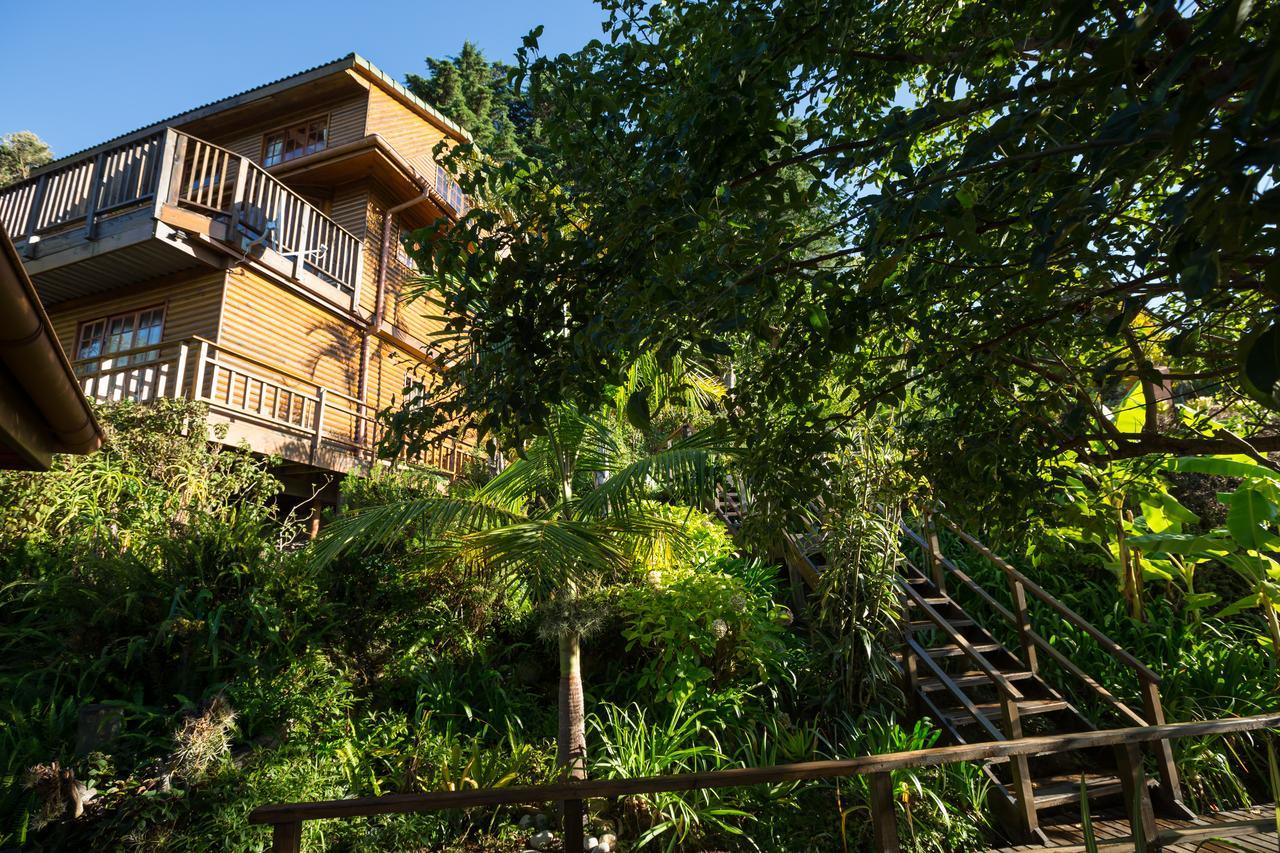 Big Tree House Lodge كنيسنا المظهر الخارجي الصورة