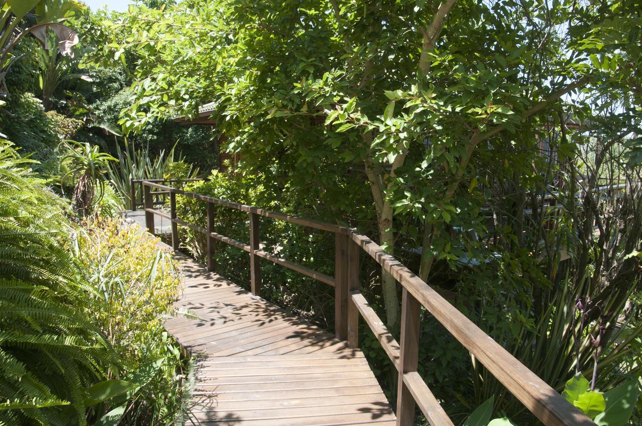 Big Tree House Lodge كنيسنا المظهر الخارجي الصورة