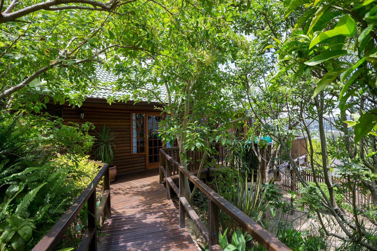 Big Tree House Lodge كنيسنا المظهر الخارجي الصورة