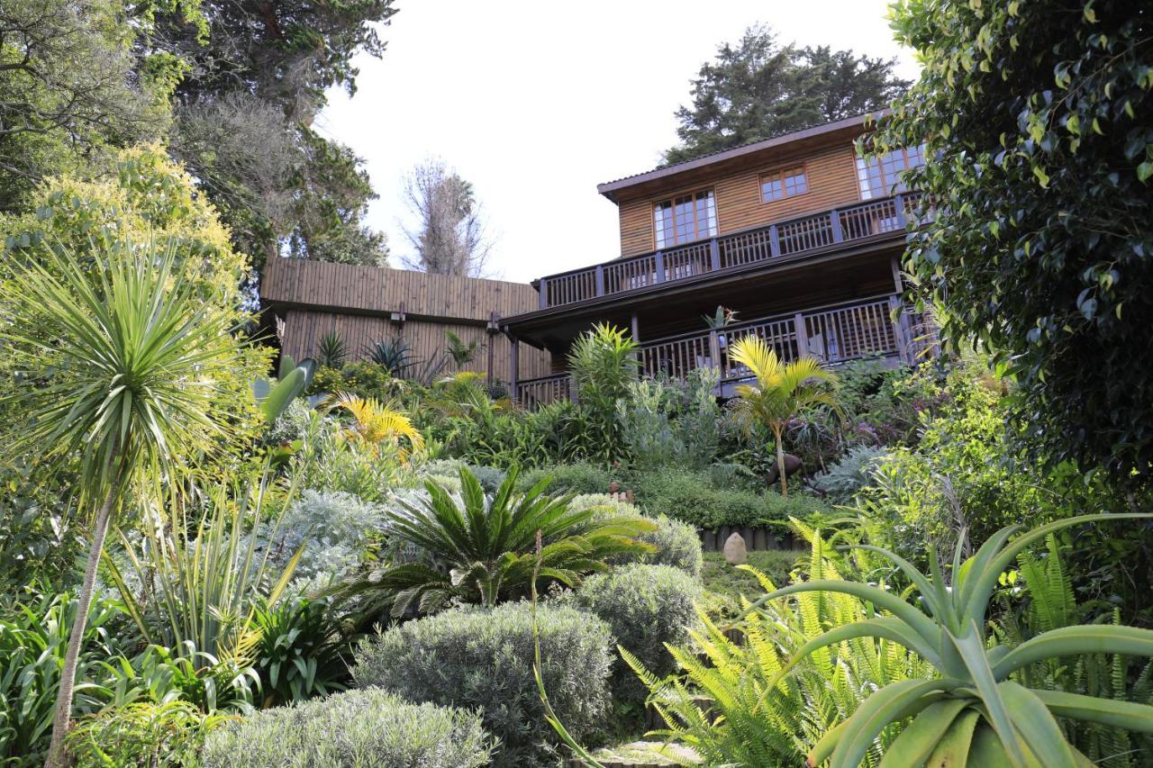 Big Tree House Lodge كنيسنا المظهر الخارجي الصورة